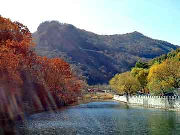 新澳门二四六天天彩，范冰冰 苹果